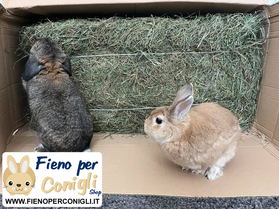 Balletta da 15kg - Fieno di Montagna per Conigli Alta Qualita' del Trentino - lavorazione artigianale