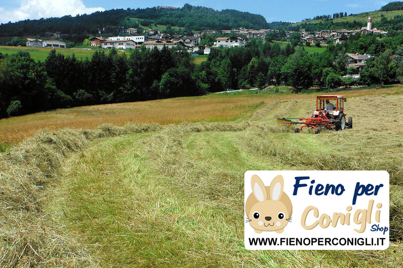 Coltivazione e Vendita fieno di Montagna, fieno di prato stabile 2 taglio
